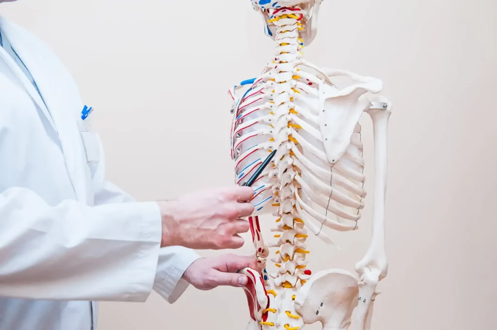 Benefits of Chiropractic Spine Adjustments